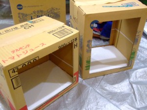 DSCF1259