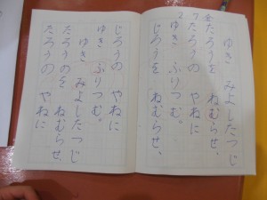 DSCN7172
